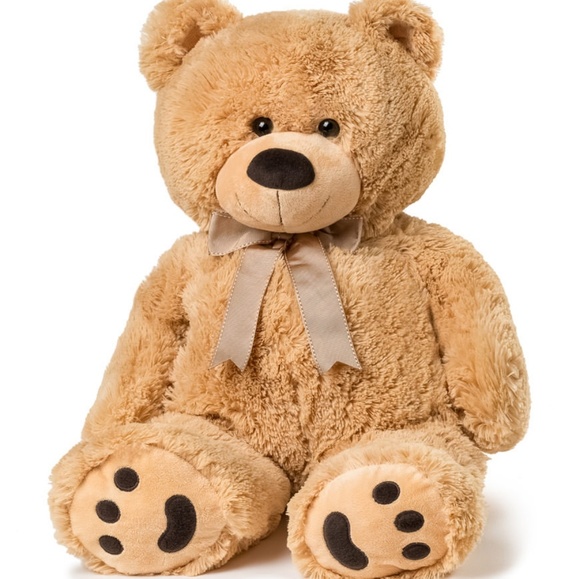 Meet your Posher, Ramon - Picture 1 of 1